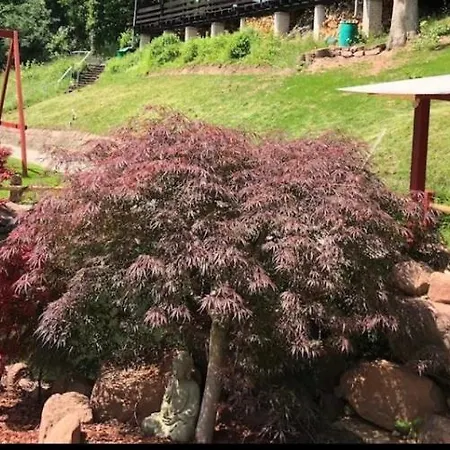 Im Schwarzwald Auf Wunderschoenem Anwesen Neubulach