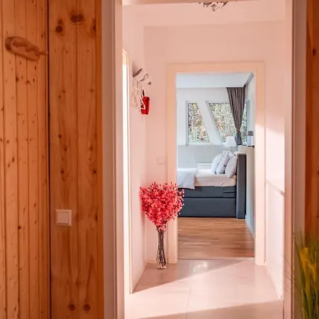 Im Schwarzwald Auf Wunderschoenem Anwesen